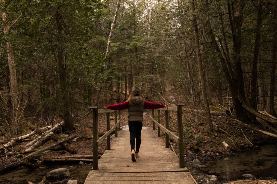 Walking across a wooden bridge in the forest.